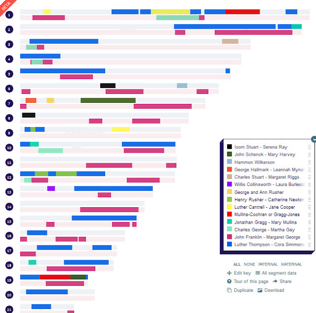 DNA Painter chromosome map