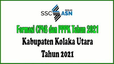 Alokasi Formasi PPPK Kabupaten Kolaka Utara Tahun 2021