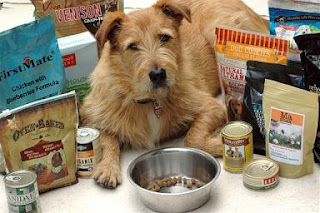 What Is The Best Dog Food