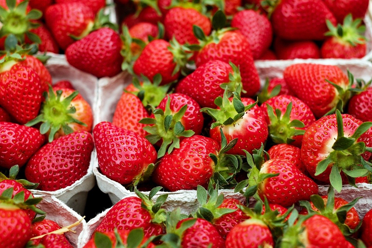 Philippines Best Strawberries Are Found In The Province Of Benguet Dot Wowcordillera
