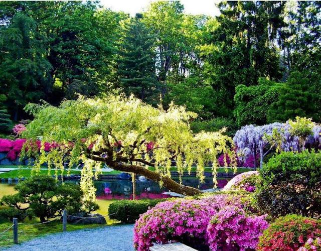 Beautiful Gardens