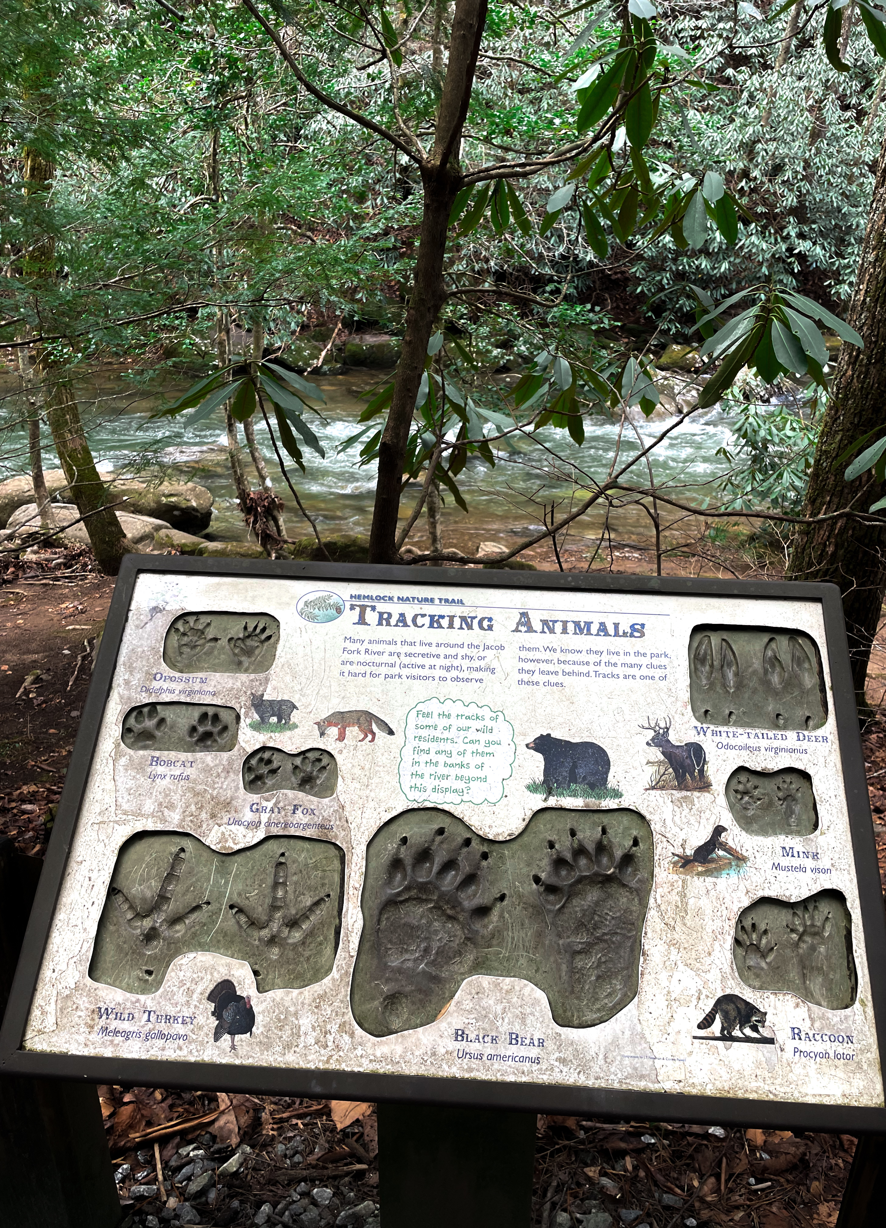 Hemlock Nature Trail