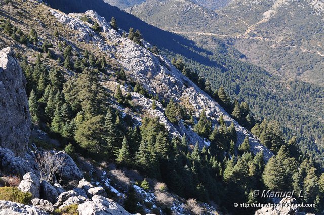 Crestería Sierra del Pinar