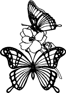 butterfly coloring pages,flower and butterfly coloring pages