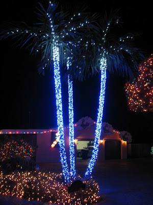 Family Christmas Lights