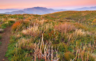 20 Most Beautiful Hiking Trails in Southern California