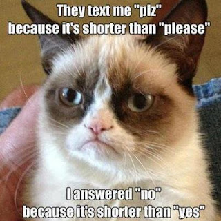 Tardar Sauce, the grumpy cat, will answer your text message with "no"