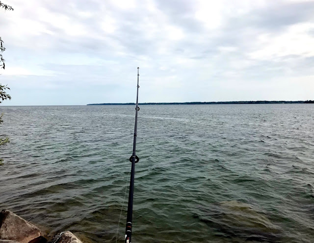 learn to camp program sibbald point provincial park