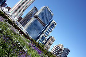 Lurie Garden in Spring