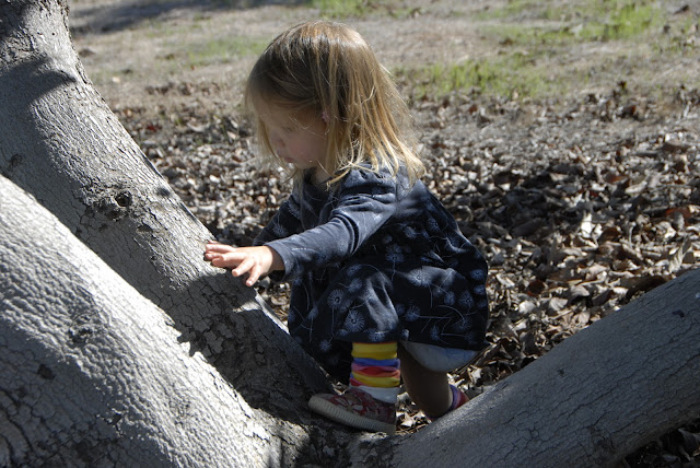 climbing up the tree: LadyD Books