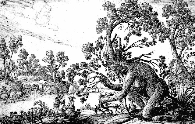 Ciafferi 1600s tree spirit, a drawing