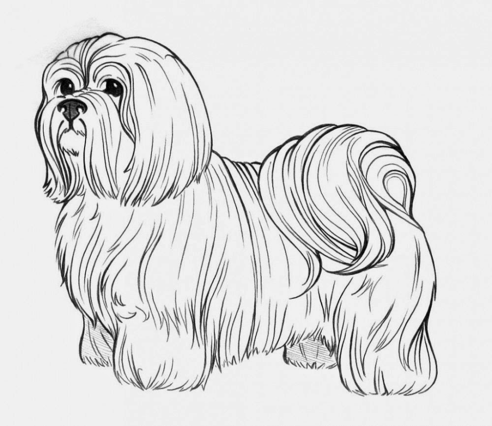 Download Coloring Pages: Dogs Coloring Pages Free and Printable