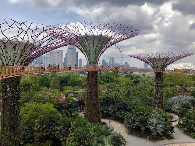 Jardim Botânico de Singapura