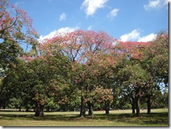 13febrero2011 018