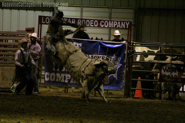 #rodeo #cowboys #bullriding #bulls