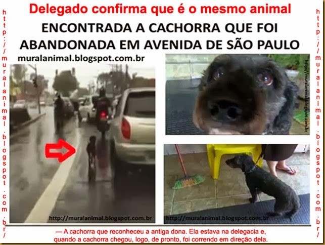 pretinha-encontrada