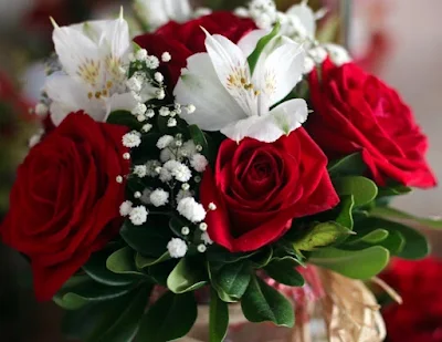 Bouquet id red and white roses.
