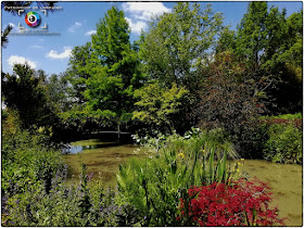 GELAUCOURT (54) - Jardin d'eau de l'Aubepré