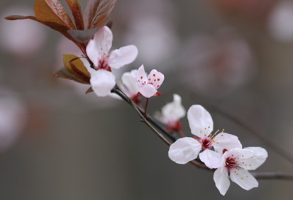 2010-02-16_005
