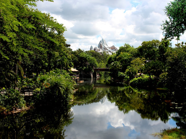 WDW: Animal Kingdom