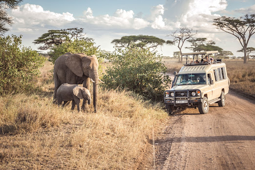 serengeti national park safari tours