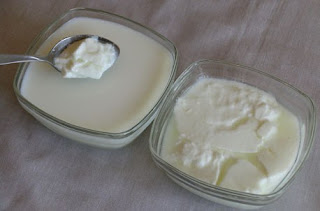 Yogurt