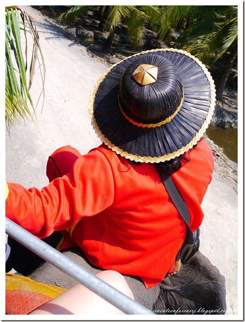 PhotoCap_013