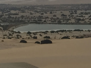 رحله الفيوم رحله سفاري اليوم الواحد لمشاهده بحيره قارون وشلالات وادي الربان وجبل المدوره ووادي الحيتان وقضاء يوم رائع 