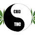 Major Difference Between CBD and THC