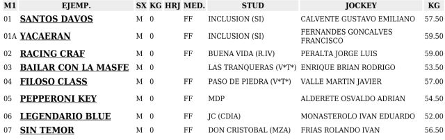 handicap-sind-san-isidro-miercoles-8-mayo