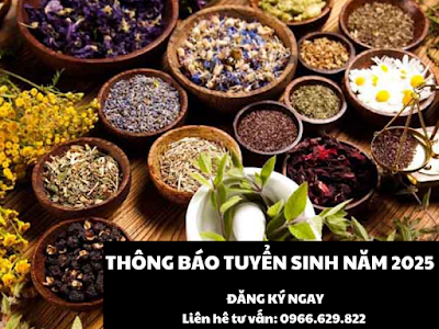 Tuyển sinh liên thông văn bằng 2 cao đẳng ngành Y học cổ truyền tại Huyện Long Thành