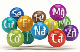 jenis dan manfaat mineral bagi tubuh