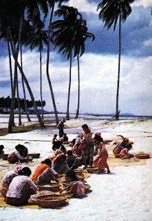 Ssiang ikang on the shore