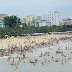 Maximise exploitation of the potential for tourism development in Thanh Hoa