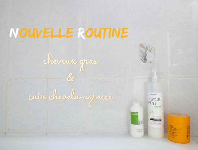 produits cheveux blog Plume de Blonde