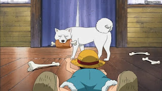 ワンピースアニメ 幼少期 493話 | ONE PIECE Episode 493