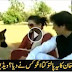 Watch Imran Khan Dog Shero's Annoying on Mehr Bukhari during Live Interview - Very Old Video
