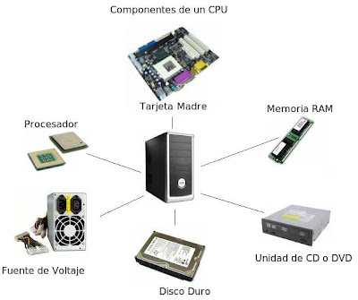 partes de la computadora. Estas son las partes físicas