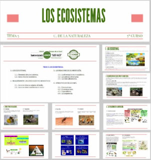 https://prezi.com/ibbdkq_nwybj/c-naturales-5o-curso-tema-5-los-ecosistemas/