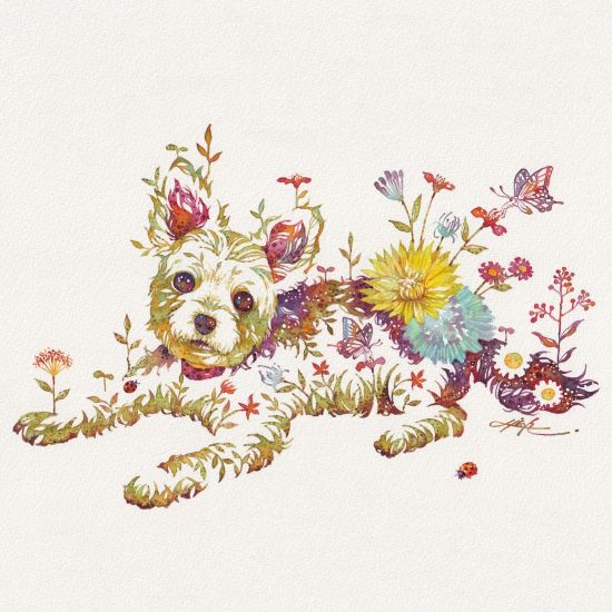 Hiroki Takeda instagram arte pinturas aquarelas animais florais cães gatos surreais coloridos