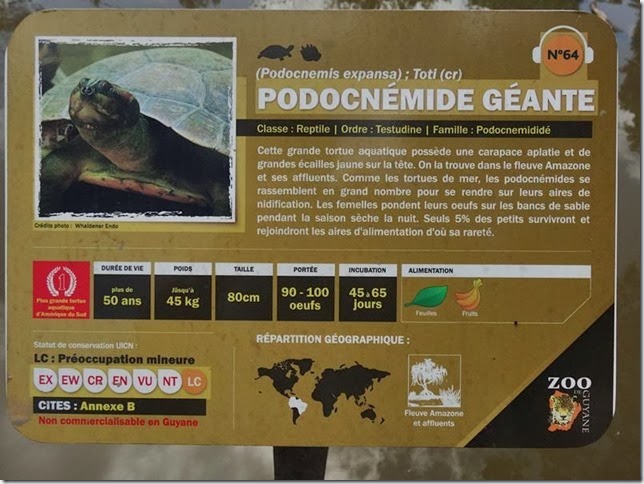 Cayenne_Zoo_DSC08139