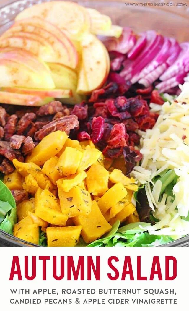 A healthy & gorgeous autumn salad featuring vibrant seasonal ingredients like roasted butternut squash, cranberries, apple, baby greens & candied pecans all tossed in a tangy apple cider vinaigrette. Bring this to all your fall gatherings (plusThanksgiving & Christmas celebrations) to wow your friends & family! (gluten-free, grain-free & vegetarian)