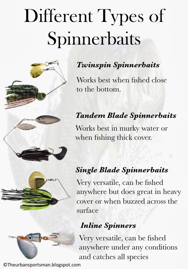 Super Shallow Summer Spinnerbait Techniques That Work… 