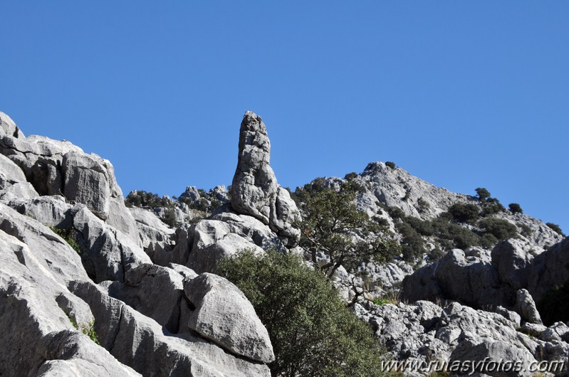 Benaocaz-El Hoyo-Jauletas-Puerto de Don Fernando