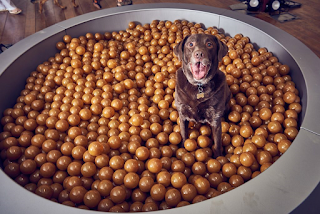 ball pool