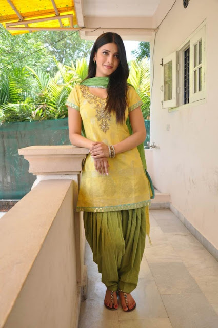 Shruti Haasan in beautiful  Punjabi Suit 2017