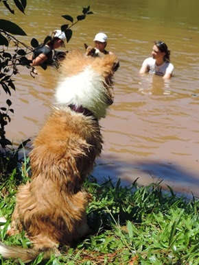 Patas na Trilha 43 (299)