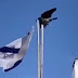 Vídeo de ave retirando bandeira de Israel viraliza nas redes e gera interpretações sobre conflito no Oriente Médio