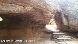 Bhimbetka, The Rock Shelters