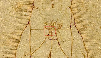 Hombre de Vitruvio, Da Vinci, Leonardo Da Vinci